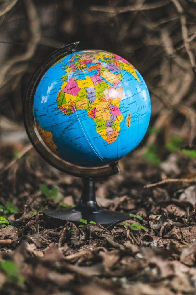 Global 1-on-1 Consultation